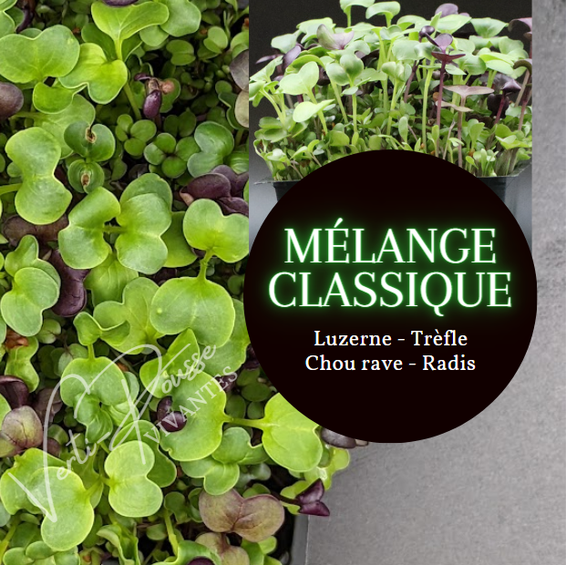 Mélange Classique