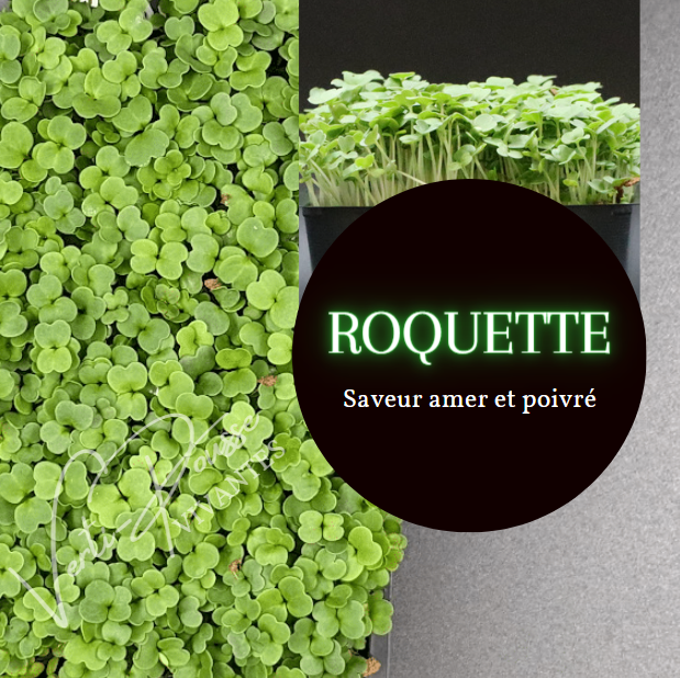 Roquette